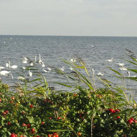 316 W Domu Zdrojowym * Jastarnia