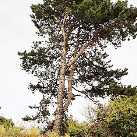 316 W Domu Zdrojowym Apartman *