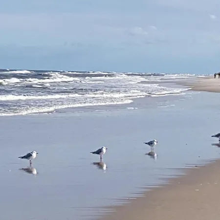 Apartman 316 W Domu Zdrojowym *