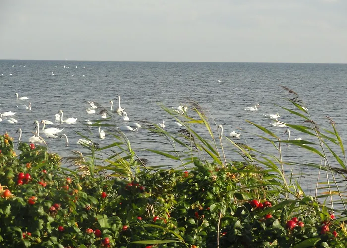 316 W Domu Zdrojowym * Ястарня