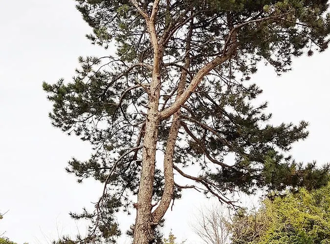 316 W Domu Zdrojowym Апартаменты *