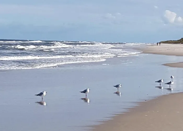 Апартаменты 316 W Domu Zdrojowym *