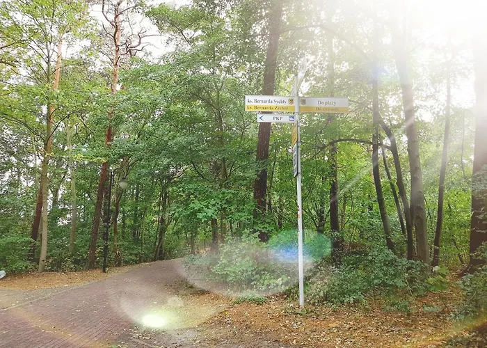 Апартаменты 316 W Domu Zdrojowym *