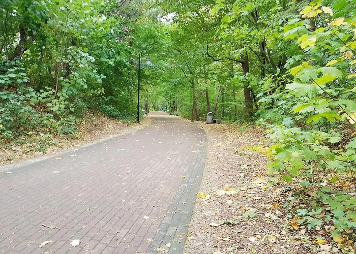 316 W Domu Zdrojowym *